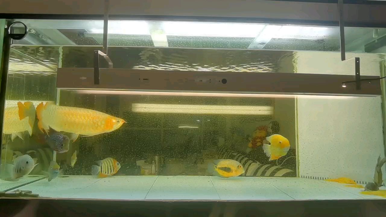 忙得忙