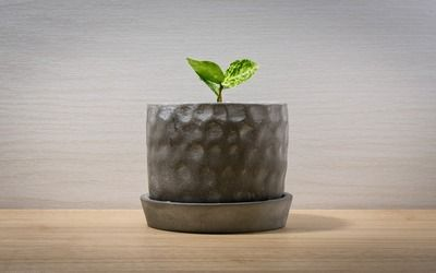 過背金龍魚喂什么發色好看圖片欣賞一下：標題：過背金龍魚的發色奧秘