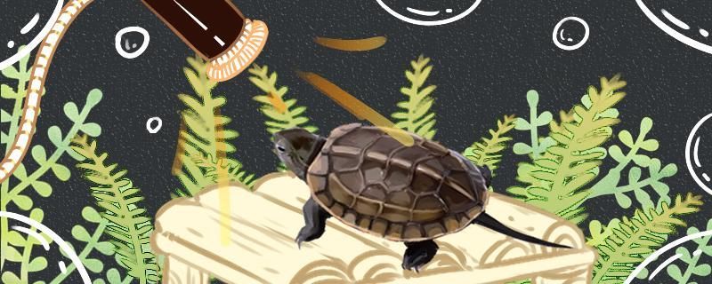 魚缸可以放在有陽光射入的地方嗎（魚缸放在陽光照到的位置好嗎）