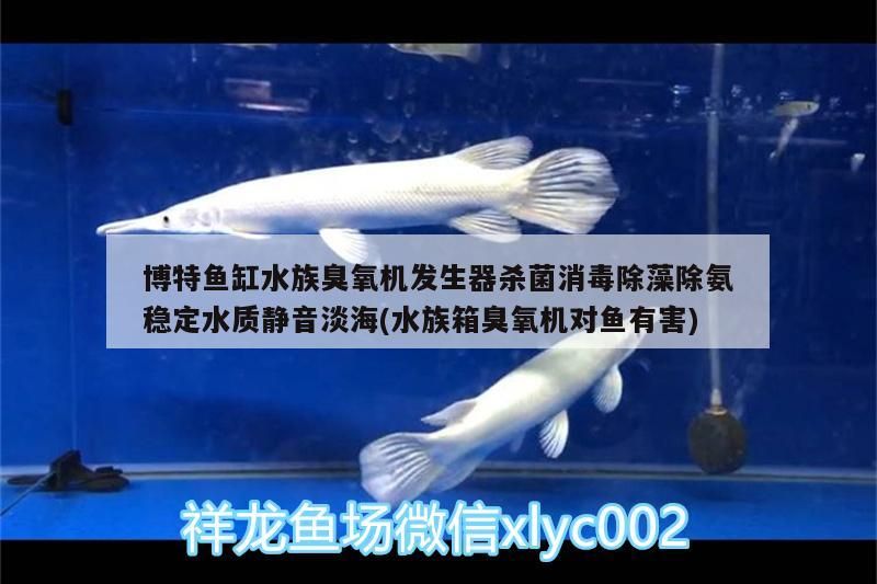 博特魚缸水族臭氧機發生器殺菌消毒除藻除氨穩定水質靜音淡海(水族箱臭氧機對魚有害)