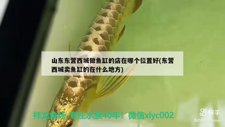 山東東營西城做魚缸的店在哪個位置好(東營西城賣魚缸的在什么地方) 山東東營西城做魚缸的店在哪個位置好(東營西城賣魚缸的在什么地方) 可麗愛魚缸