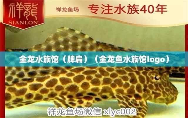 水族館牌子圖片高清（水族館圖標(biāo)、水族館logo、水族館門頭樣式圖片信息） 水族館牌子圖片高清（水族館圖標(biāo)、水族館logo、水族館門頭樣式圖片信息） 水族館百科（水族館加盟） 第3張
