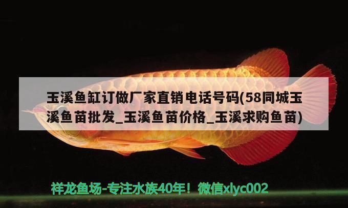 玉溪魚缸訂做廠家直銷電話號碼(58同城玉溪魚苗批發_玉溪魚苗價格_玉溪求購魚苗)