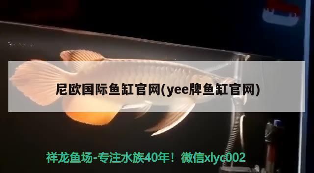 尼歐國際魚缸官網(wǎng)(yee牌魚缸官網(wǎng))