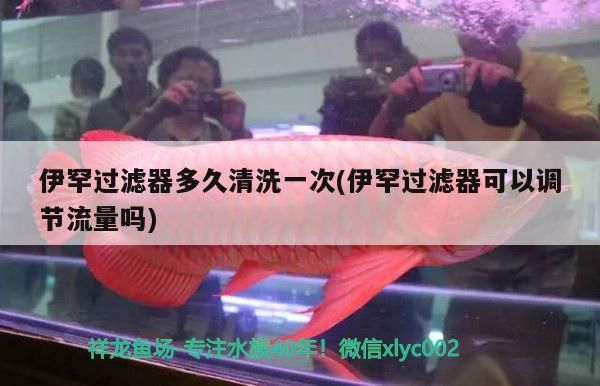伊罕過濾器多久清洗一次(伊罕過濾器可以調節流量嗎)