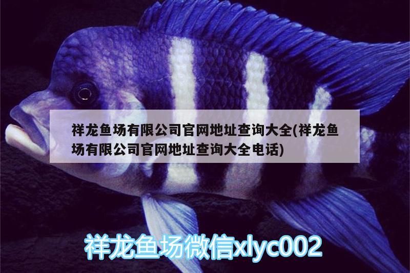 祥龍魚場有限公司官網地址查詢大全(祥龍魚場有限公司官網地址查詢大全電話)