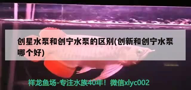 創星水泵和創寧水泵的區別(創新和創寧水泵哪個好)