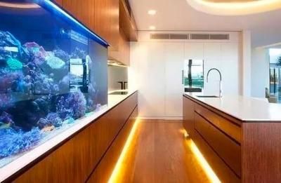 水族館加盟店有哪些項目可以做：水族館加盟店投資回報率如何