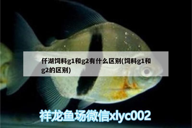 仟湖飼料g1和g2有什么區別(飼料g1和g2的區別)