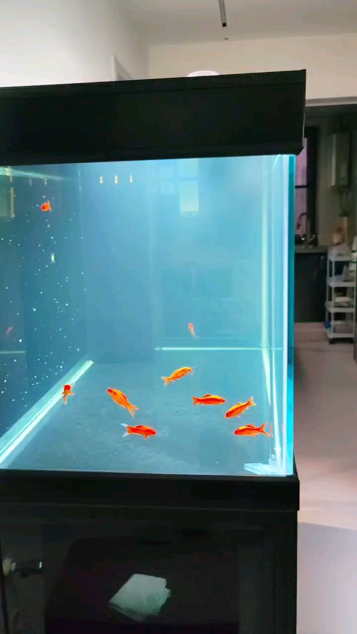 這水真難養