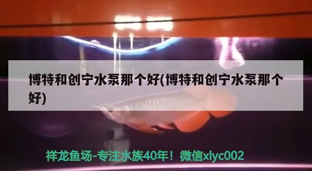 博特和創寧水泵那個好(博特和創寧水泵那個好)