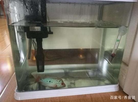 我的世界,魚缸（我的世界魚缸制作方法）
