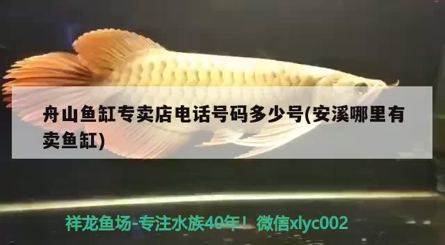 <strong><mark>舟山</mark></strong>魚缸專賣店電話號碼多少號(安溪哪里有賣魚缸)
