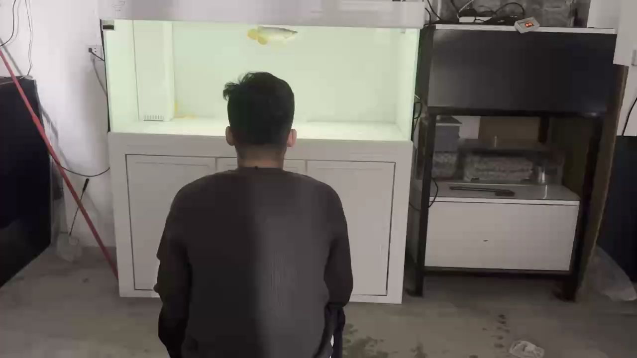 新魚到家