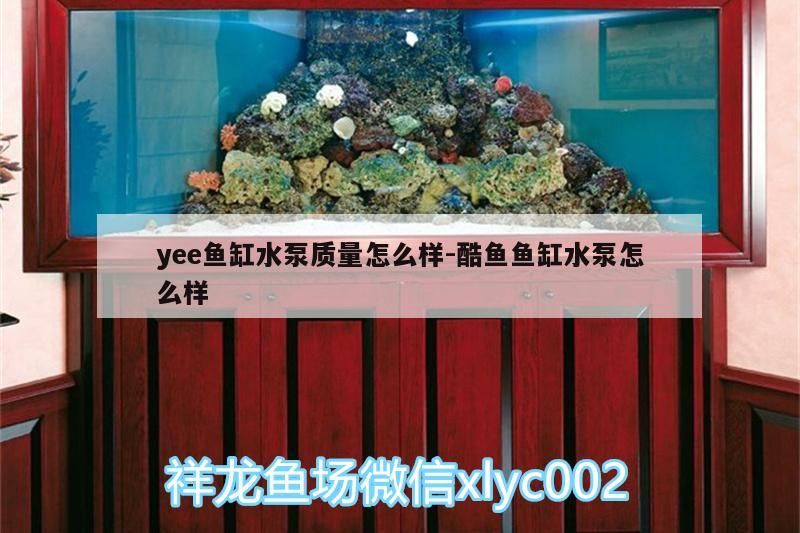 龍魚怕什么 yee魚缸水泵質(zhì)量怎么樣:酷魚魚缸水泵怎么樣 yee yee魚缸水泵質(zhì)量怎么樣:酷魚魚缸水泵怎么樣 yee魚缸水泵質(zhì)量怎么樣:酷魚魚缸水泵怎么樣 yee