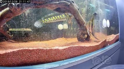 詳細(xì)閱讀:馬印燈和nec哪個(gè)好用一點(diǎn):馬印燈和nec燈哪個(gè)好用一點(diǎn) 馬印燈和nec哪個(gè)好用一點(diǎn):馬印燈和nec燈哪個(gè)好用一點(diǎn)