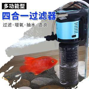 新手養銀龍魚入門技巧圖片（新手養銀龍魚入門技巧圖片欣賞）