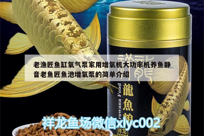 老漁匠魚缸氧氣泵家用增氧機大功率機養魚靜音老魚匠魚池增氧泵的簡單介紹 老漁匠魚缸氧氣泵家用增氧機大功率機養魚靜音老魚匠魚池增氧泵的簡單介紹 老魚匠