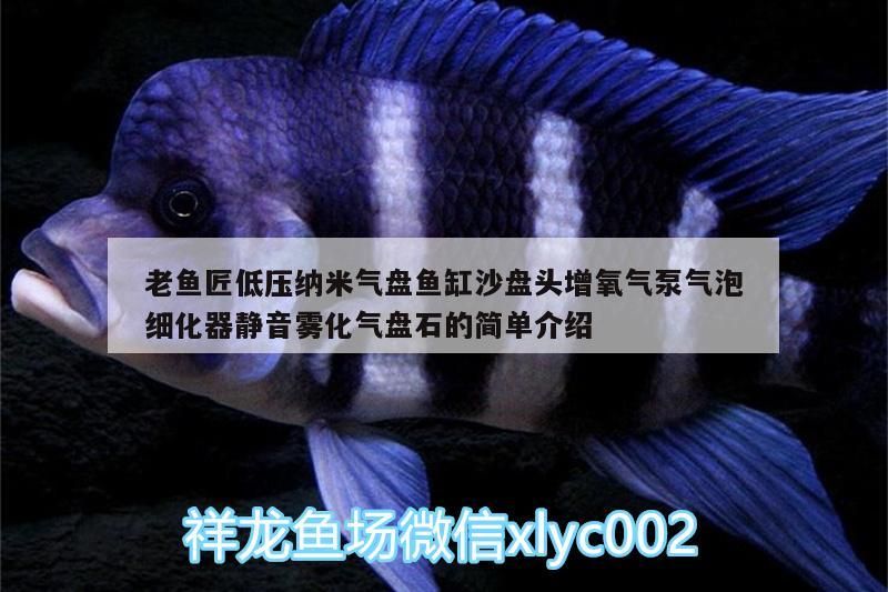 老魚匠低壓納米氣盤魚缸沙盤頭增氧氣泵氣泡細化器靜音霧化氣盤石的簡單介紹