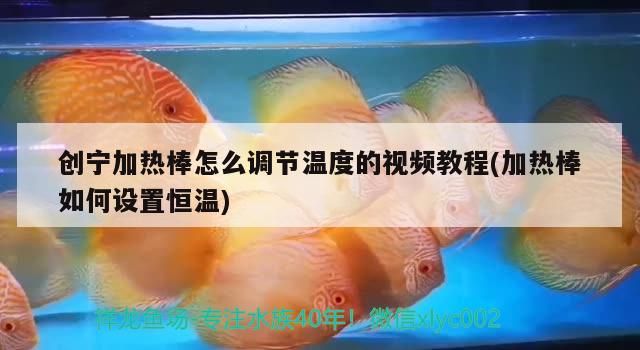 創寧加熱棒怎么調節溫度的視頻教程(加熱棒如何設置恒溫)