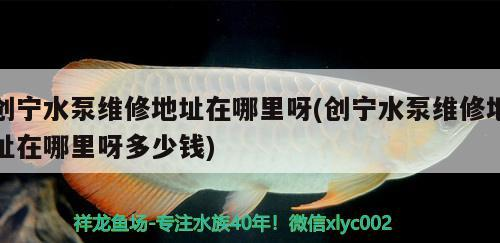 創寧水泵維修地址在哪里呀(創寧水泵維修地址在哪里呀多少錢)