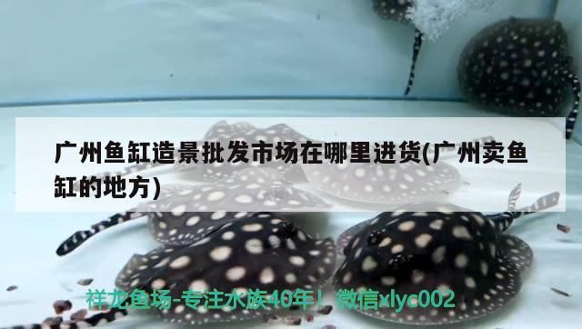 廣州魚缸造景批發市場在哪里進貨(廣州賣魚缸的地方) 廣州魚缸造景批發市場在哪里進貨(廣州賣魚缸的地方) iwish愛唯希品牌魚缸