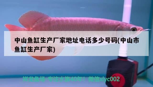 中山魚缸生產(chǎn)廠家地址電話多少號碼(中山市魚缸生產(chǎn)廠家) 中山魚缸生產(chǎn)廠家地址電話多少號碼(中山市魚缸生產(chǎn)廠家) 九鼎魚缸
