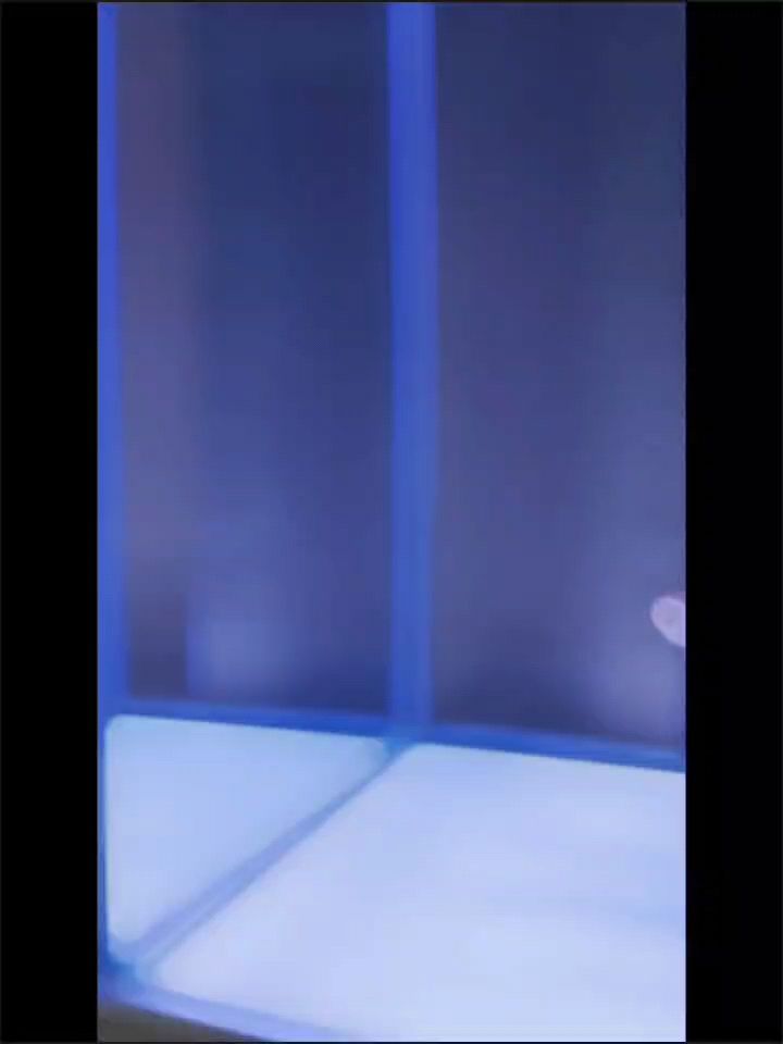 自己從10公分養到現在50的巨骨 自己從10公分養到現在50的巨骨 龍魚論壇