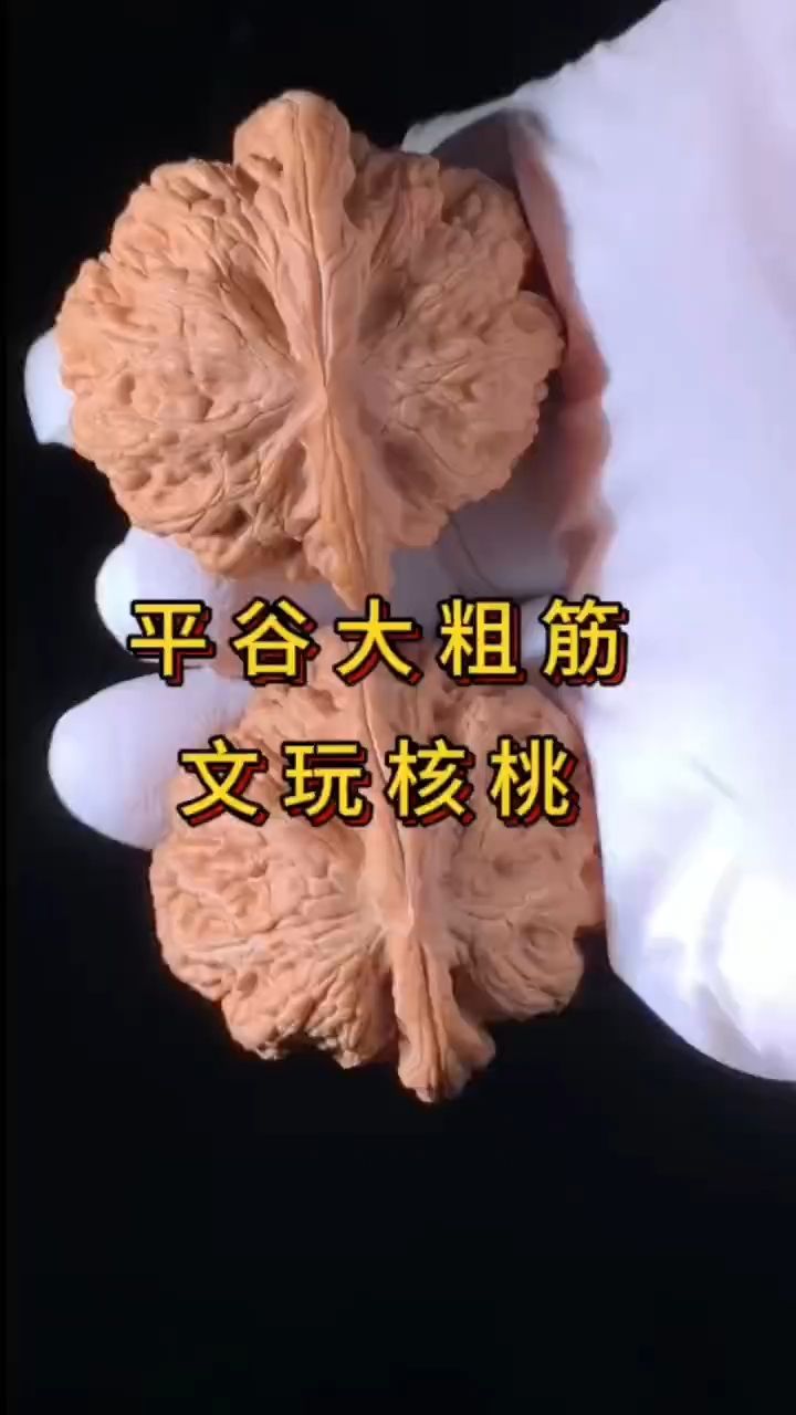平谷大粗筋
