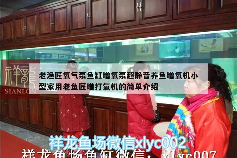 老漁匠氧氣泵魚缸增氧泵超靜音養魚增氧機小型家用老魚匠增打氧機的簡單介紹