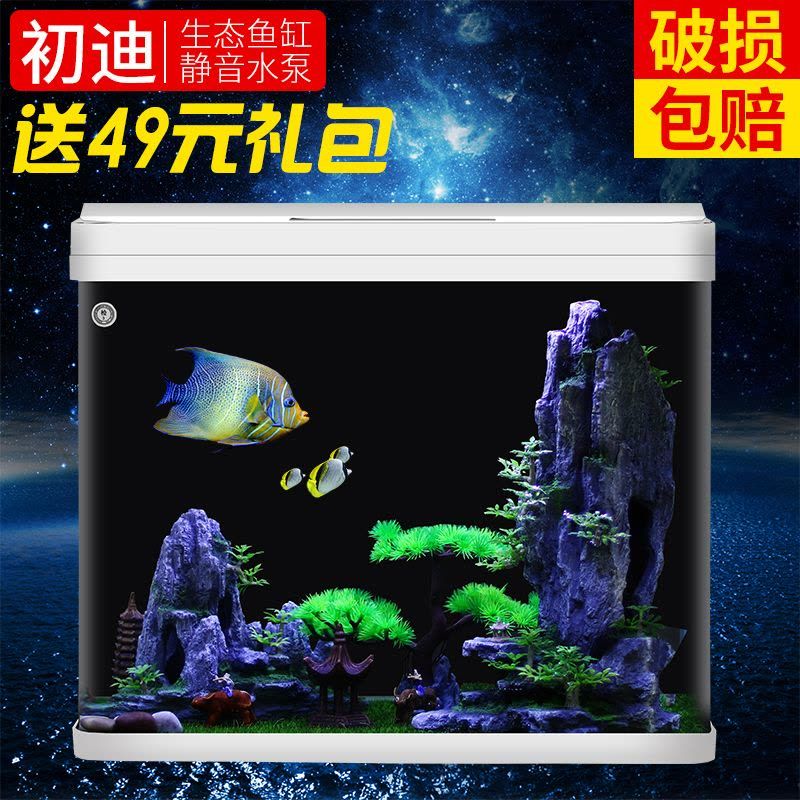 海口哪里賣魚缸便宜點的魚（海口哪里賣魚缸便宜點的魚好）