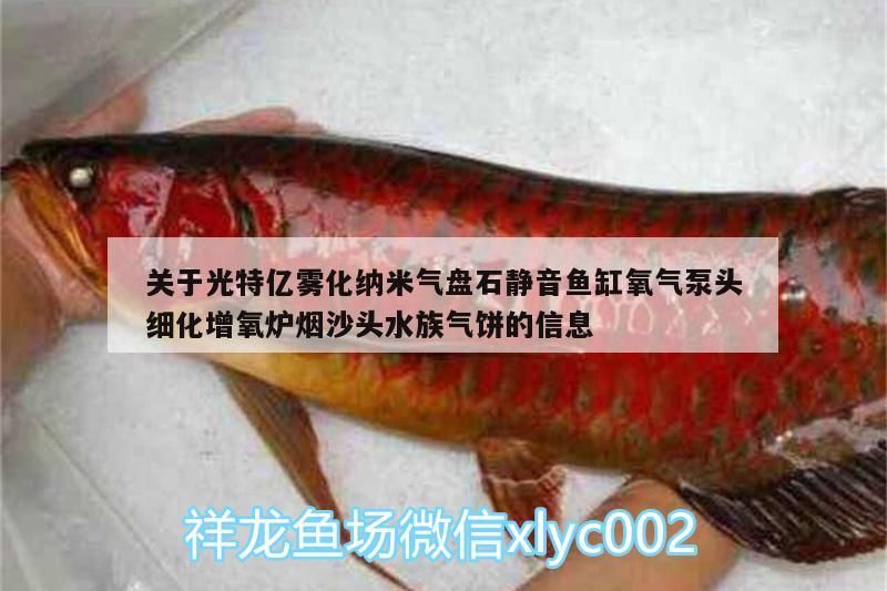 關于光特億霧化納米氣盤石靜音魚缸氧氣泵頭細化增氧爐煙沙頭水族氣餅的信息