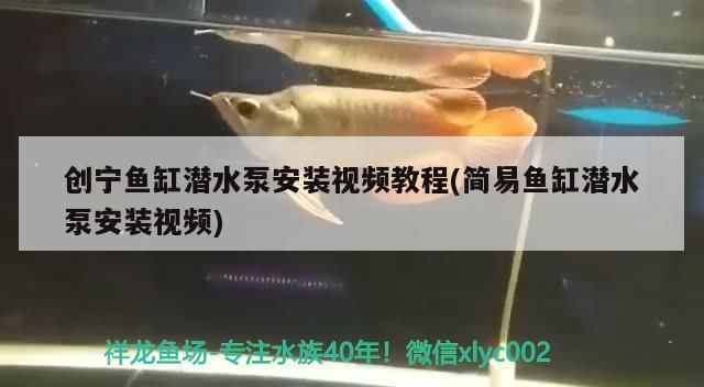 創寧魚缸潛水泵安裝視頻教程(簡易魚缸潛水泵安裝視頻)