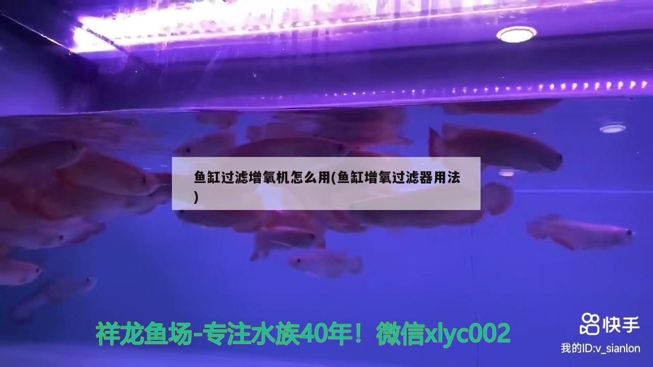 魚缸過濾增氧機怎么用(魚缸增氧過濾器用法)