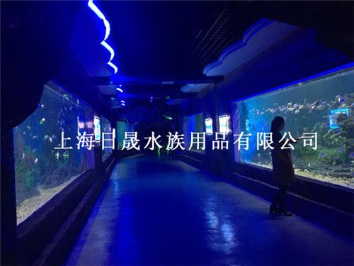 水族館設(shè)計(jì)工程施工：水族館設(shè)計(jì)工程施工的重要性