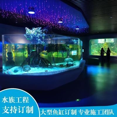 龍魚和戰船魚哪個好養，龍魚和戰船哪個好養