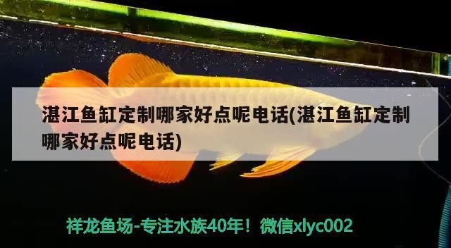 湛江魚缸定制哪家好點呢電話(湛江魚缸定制哪家好點呢電話) 湛江魚缸定制哪家好點呢電話(湛江魚缸定制哪家好點呢電話) 九鼎魚缸