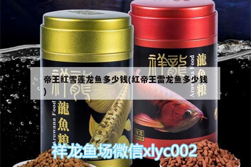 金龍魚古典藍（金龍魚古典和藍底區別）