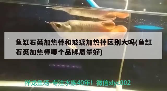 魚缸石英加熱棒和玻璃加熱棒區(qū)別大嗎(魚缸石英加熱棒哪個品牌質(zhì)量好)