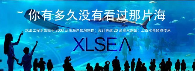 開一個水族館需要的采購清單：開一個水族館需要采購的物品 開一個水族館需要的采購清單：開一個水族館需要采購的物品 水族館百科（水族館加盟） 第4張