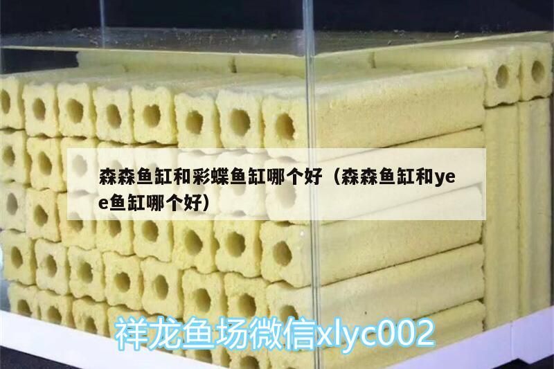 森森魚缸和彩蝶魚缸哪個好（森森魚缸和yee魚缸哪個好）