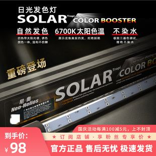 馬印和NEC雷龍用哪個：馬印和nec雷龍燈的選擇，馬印神燈和nec燈的選擇 馬印和NEC雷龍用哪個：馬印和nec雷龍燈的選擇，馬印神燈和nec燈的選擇 馬印水族 第4張