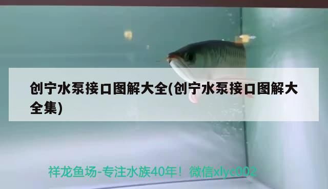 創(chuàng)寧水泵接口圖解大全(創(chuàng)寧水泵接口圖解大全集)
