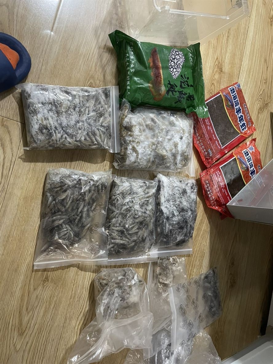掉一片鱗 龍魚論壇 第5張 掉一片鱗 掉一片鱗 龍魚論壇 第5張