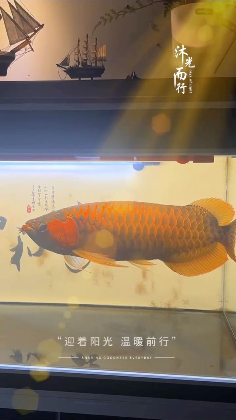 很快你都快5歲了