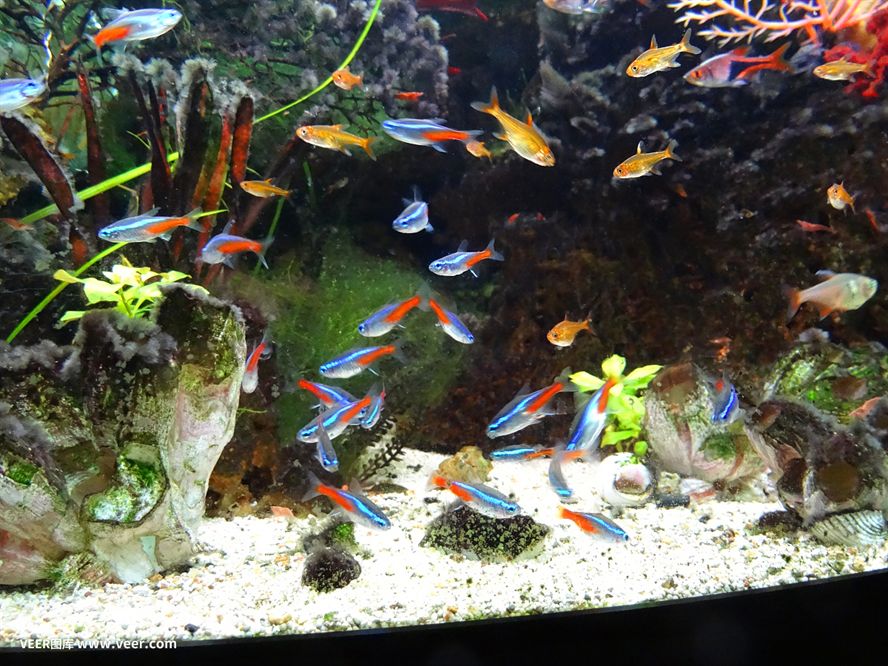 光特億加熱棒怎么和手機連（光特億加熱棒怎么和手機連接使用）