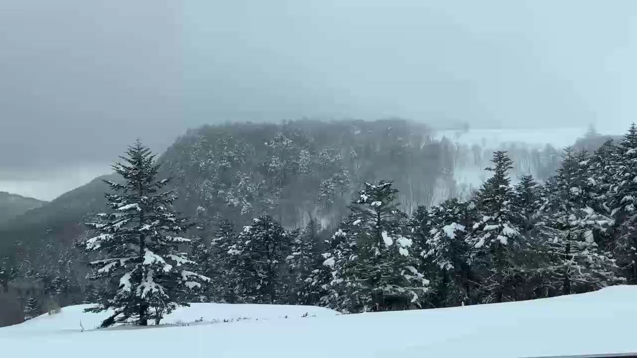 高山雪