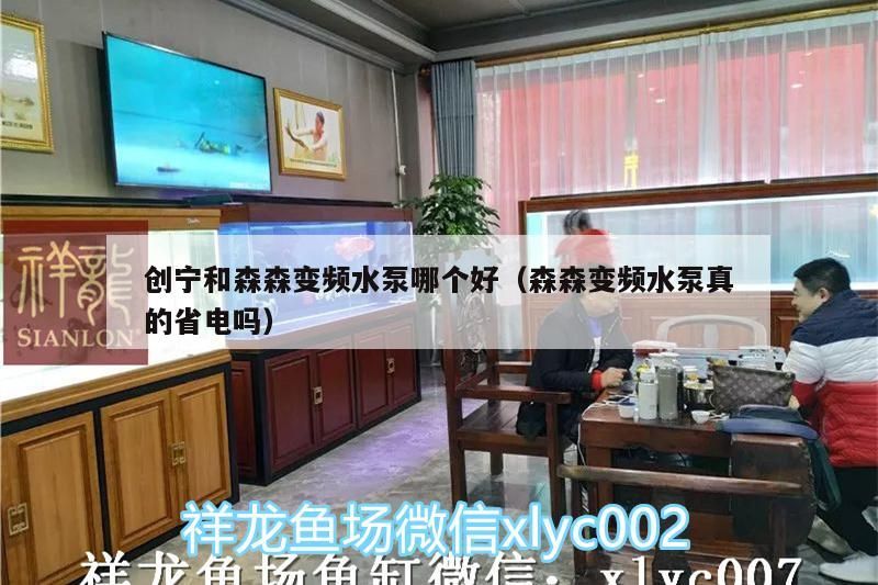 創(chuàng)寧和森森變頻水泵哪個好（森森變頻水泵真的省電嗎）