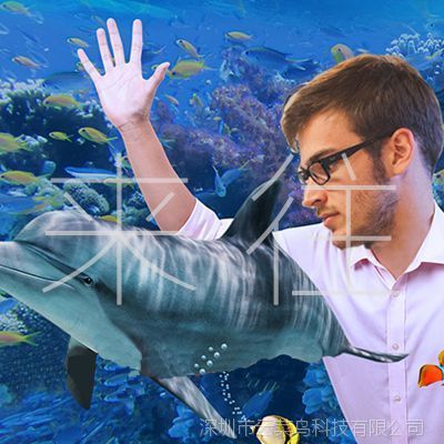 水族館運營維護外包（國內外水族館運營維護外包案例分析）