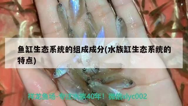 魚缸生態系統的組成成分(水族缸生態系統的特點)